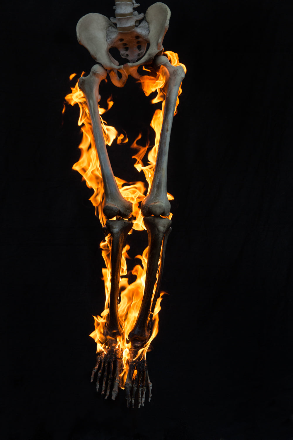 Fire 2 – Timothy White