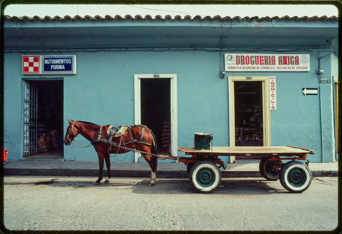 South America 16